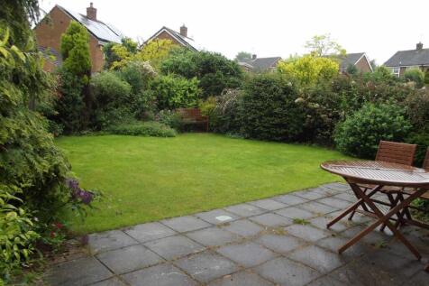 garden.jpg