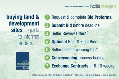 Hollis Morgan | Informal Tender Guide.jpg