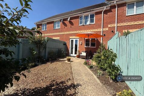 Back Garden 