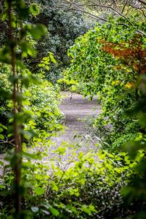 Thurloe Sq gardens