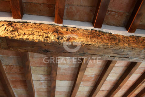 Panorama e Particolari