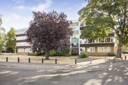 Property Image 11