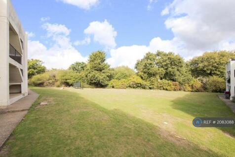 Communal Back Garden