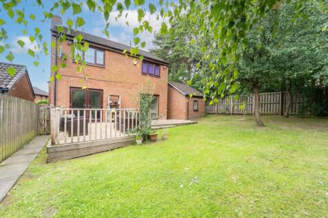 Rear of Property