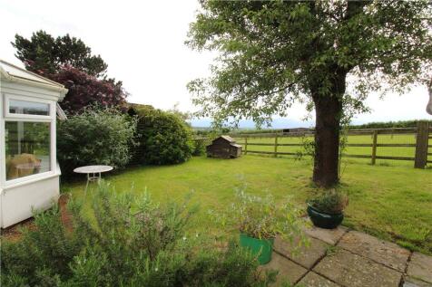 Picture No. 10