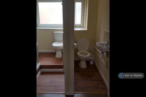 Two Toilets