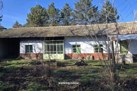 Wide angle view showing the house facade with green windows and a garden area with sparse vegetation.