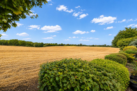 Countryside.png