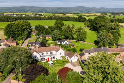 DJI_20250708171248_0161_D 2.jpg