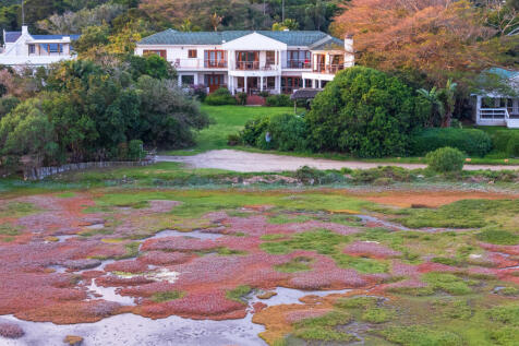 A garden of inter-tidal zones