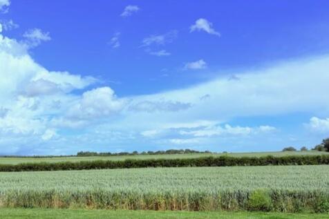 waysidefarmviews1.jpg