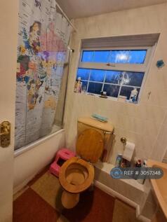Family Bathroom View 1