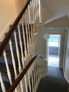 IMG_3959 (Large).JPG