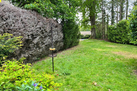 Photo 24