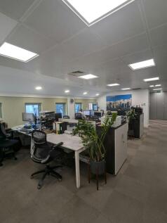 PXL_20260630_155146772.RAW-01.COVER.jpg