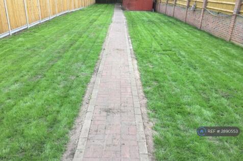 Back Garden