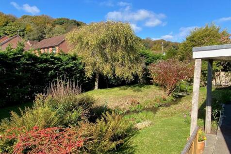 garden 1.jpg