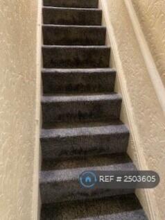 New Carpet Stairs 