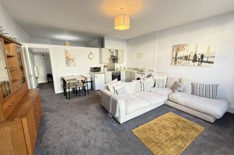 IMG 1660 T202512191236.jpg