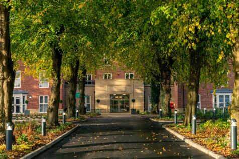 Exterior tree lined driveway