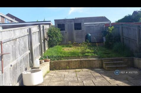 Back Garden