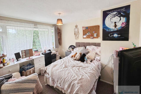 Ringwood, Hampshire photo 4
