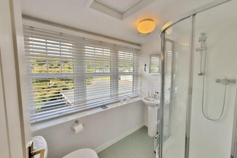 Wellingtonia shower room