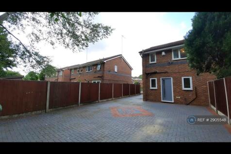 Back Garden
