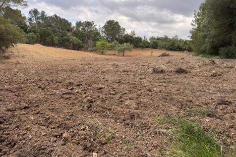 PHOTO-2025-05-07-20-