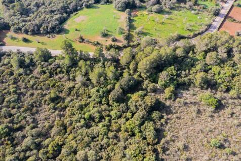 WhatsApp Image 2025-