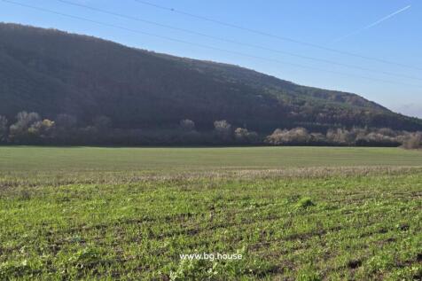 Open green field with young grass and wooded hills in the background under a clear blue sky.