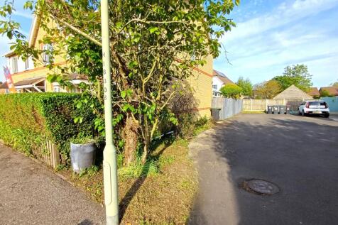 Picture 12