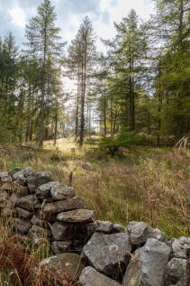 Land for sale Image 12