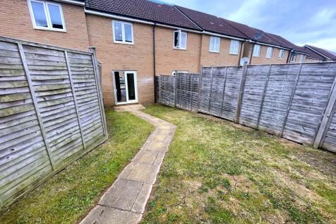 Back garden