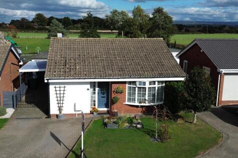 DJI_0295.jpg