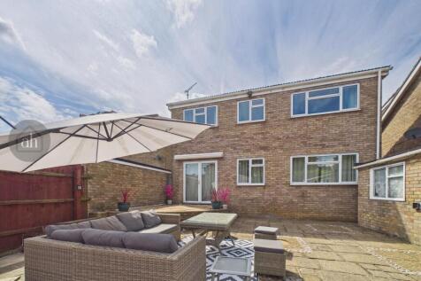 Terrace / Patio