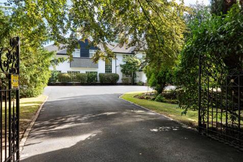 Property Image 42
