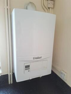 boiler.jpeg