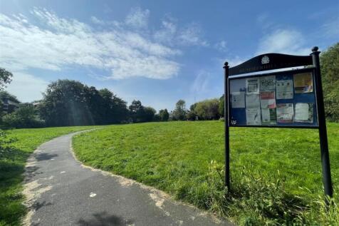 garden summerhill.jpg