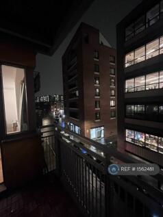 Night View
