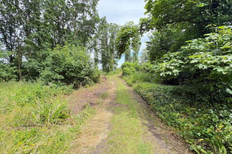 Property Image 65