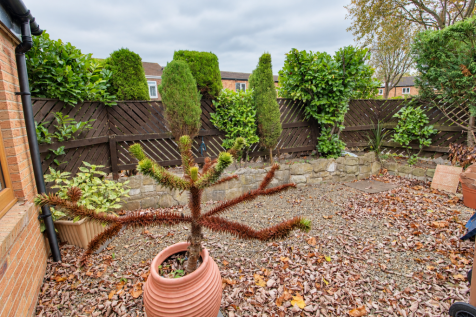 Coquet, Rickleton, Washington, Sunderland photo 4