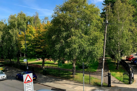 View of Park