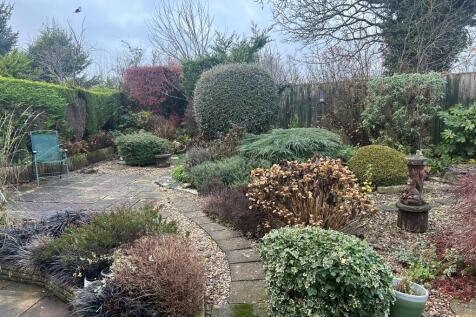 Garden T202412031120.jpg