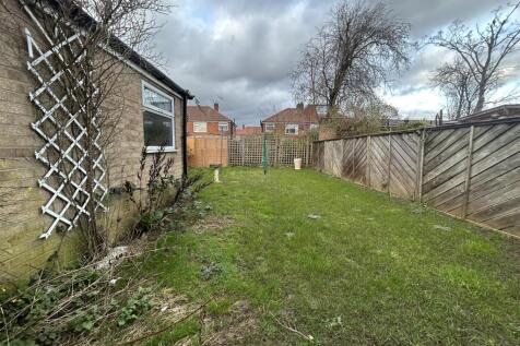 New Garden (1).jpeg