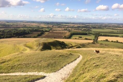 THE NORTH WESSEX DOWNS ii.JPG