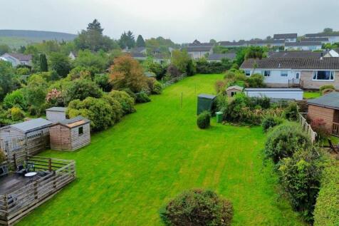 Garden at 2 Alma Terrace