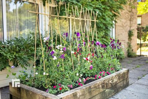 Property Image 59