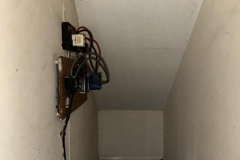 IMG 4705 T202509011412.jpeg