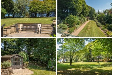 Back Page Collage.jpg